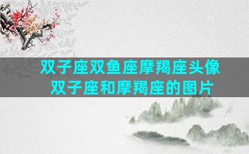 双子座双鱼座摩羯座头像 双子座和摩羯座的图片